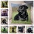 Coussin-chien-Housse-coussin-chien-Coussin-labrador-Coussin-motif-chien