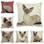 Coussin-chat-Housse-coussin-chat-Coussin-siamois-Coussin-chat-siamois-Coussin-motif-chat