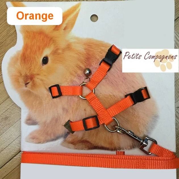 Accessoire Pour Lapin Gilet De Faisceau De Lapin Pour Les Petits Animaux De Compagnie Accessoire Lapin