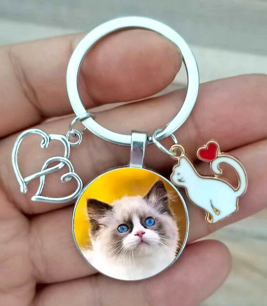 Porte-clés Chat Siamois Cabochon Imprimé - Bijou De Sac Argenté - Neuf Avec étiquettes