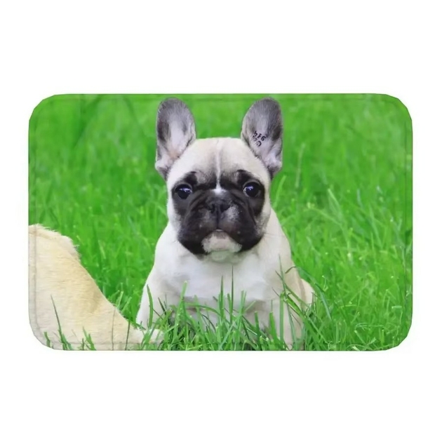 Tapis Imprimé Bouledogue Français 100x150 Cm - Doux, Antidérapant, Lavable En Machine Pour Salon Ou Chambre D'enfant
