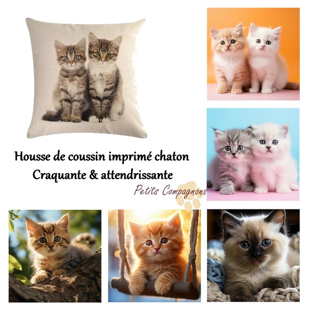 Coussin motif chat en housse – Coussin de décoration