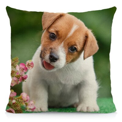 Taie d'oreiller housse de coussin chien jack russell 45x45 cm