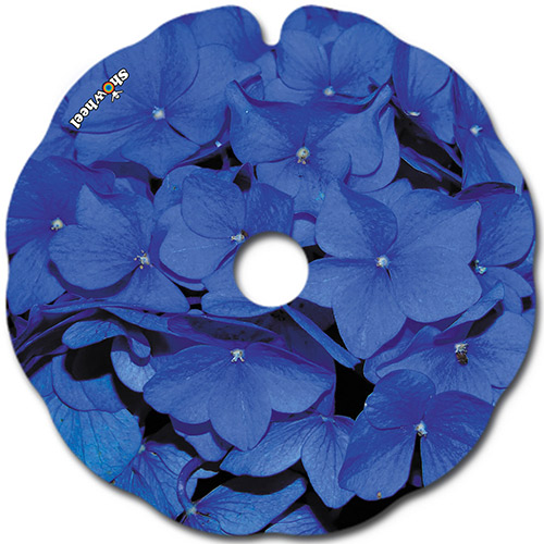 hortensia_bleu_flasque_fauteuil_roulant_02