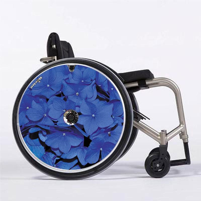 hortensia_bleu_flasque_fauteuil_roulant_01