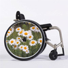 paquerettes_flasque_fauteuil_roulant_01