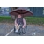 porte_parapluie_universel_01