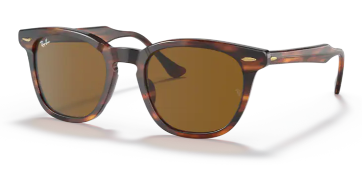 Lunette de soleil - Ray Ban - RB2298 - 954/33 - Rayé Havana