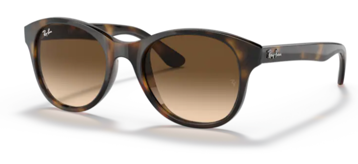 Lunette de soleil - Ray Ban - RB4203 - 710/13 - havana clair