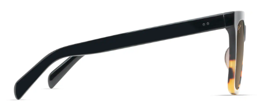 Capture hs898-10 3