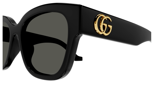 Capture GG1550SK 001 3