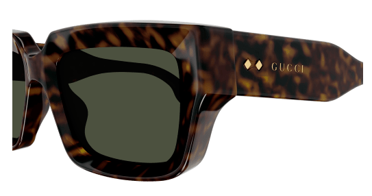 Capture GG1529S 002 3