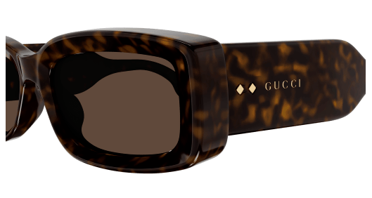 Capture GG1528S 002 3