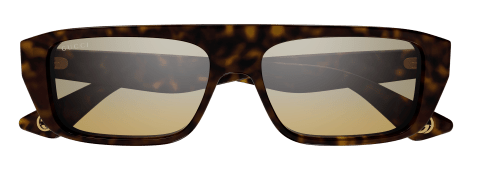 Lunette de soleil - Gucci - GG1617S - 002 - Havane