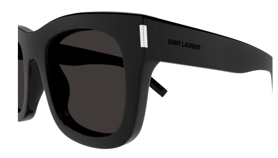 Capture sl650 001 3