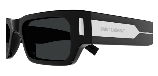 Capture sl 660 001 3