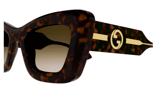 Capture gg1552s 002 3