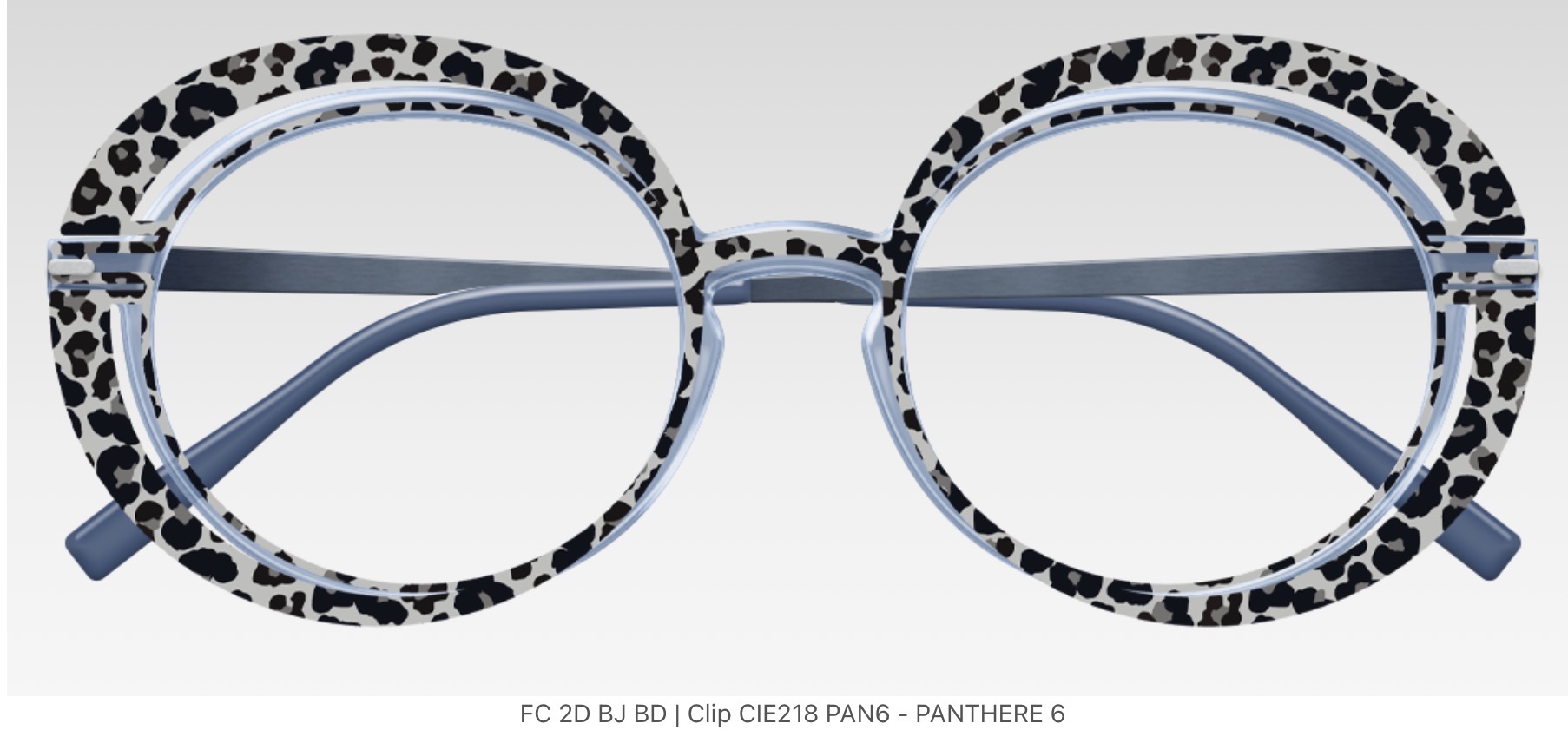 Clip CIE218 PAN6 - PANTHERE 6