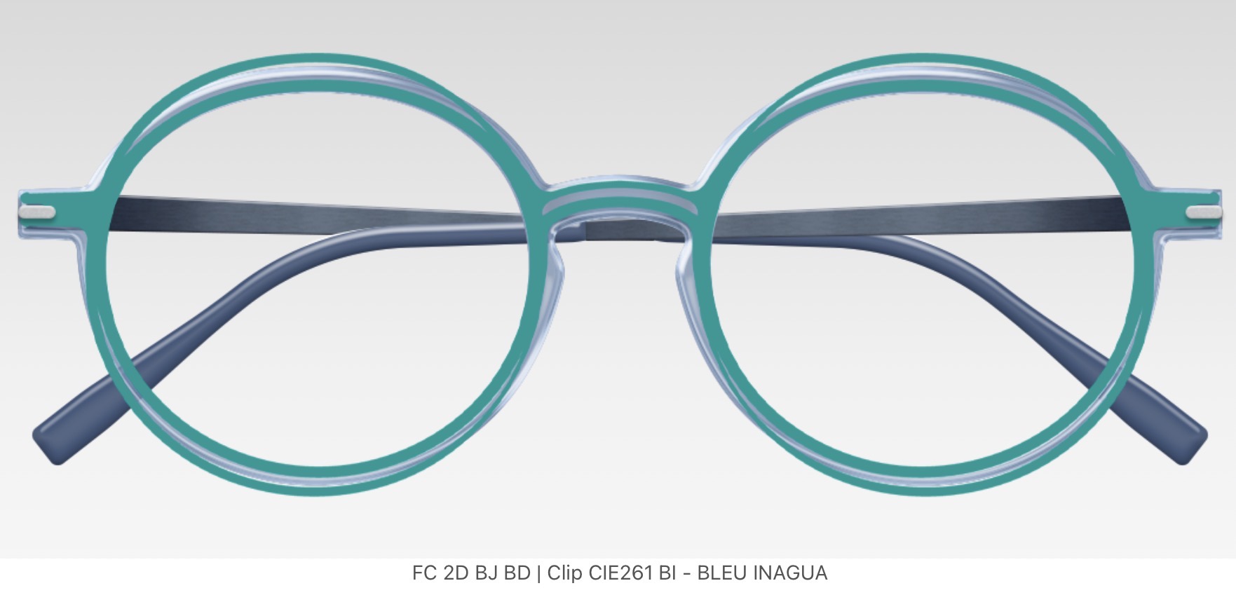 Clip Face & Cie - CIE 261