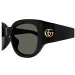 Capture GG1599SA 001 3