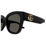 Capture GG1550SK 001 3