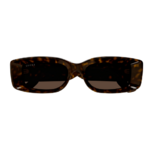 Capture GG1528S 002 2