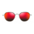 Capture.PNG266