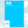 A0