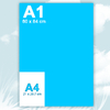 A1