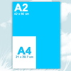 A2