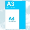 A3