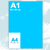 A1
