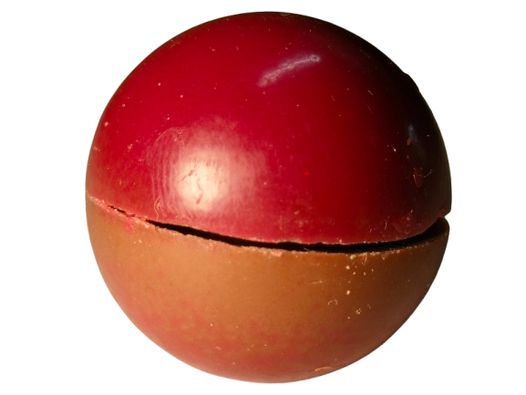 Perle chocolat mangue passion framboise jasmin