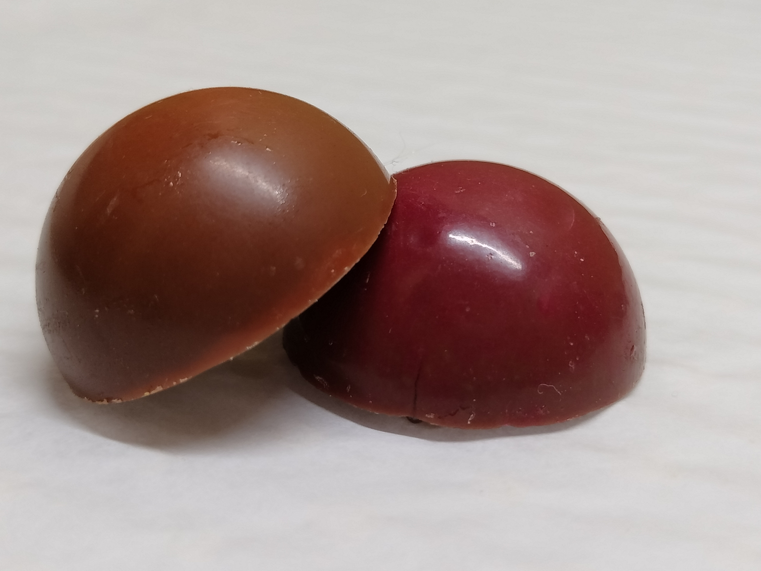 Dômes chocolat mangue passion framboise jasmin