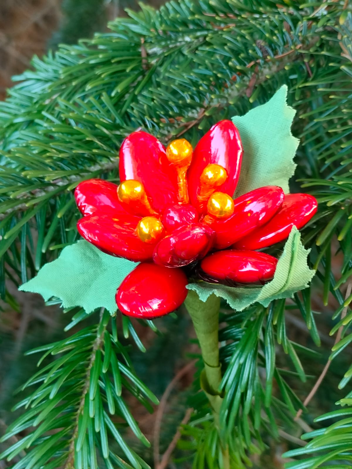 IMG-20251209-WA0072