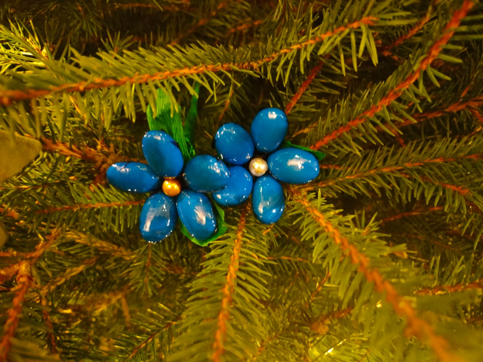 IMG-20251216-WA0012