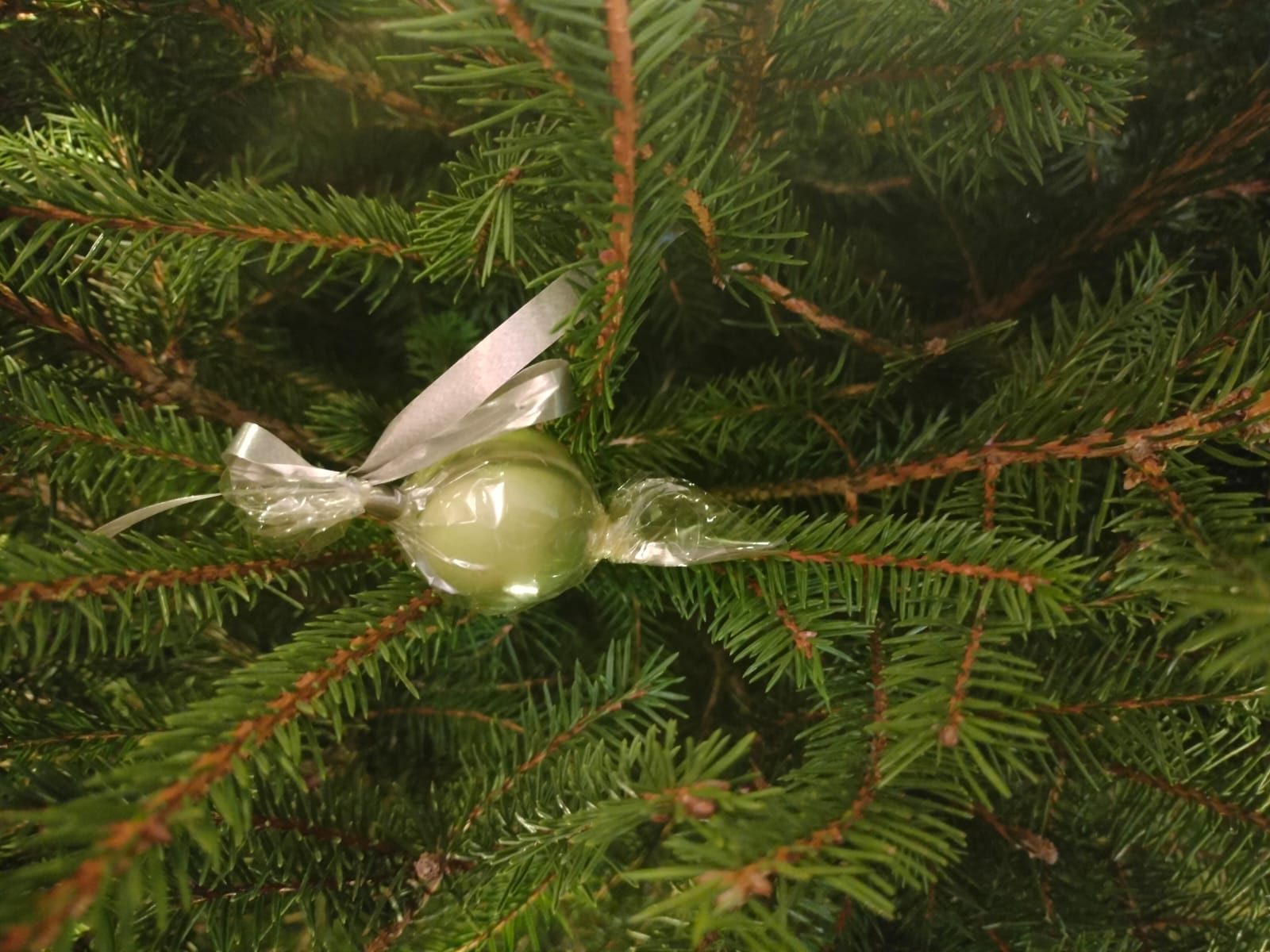 IMG-20251216-WA0006
