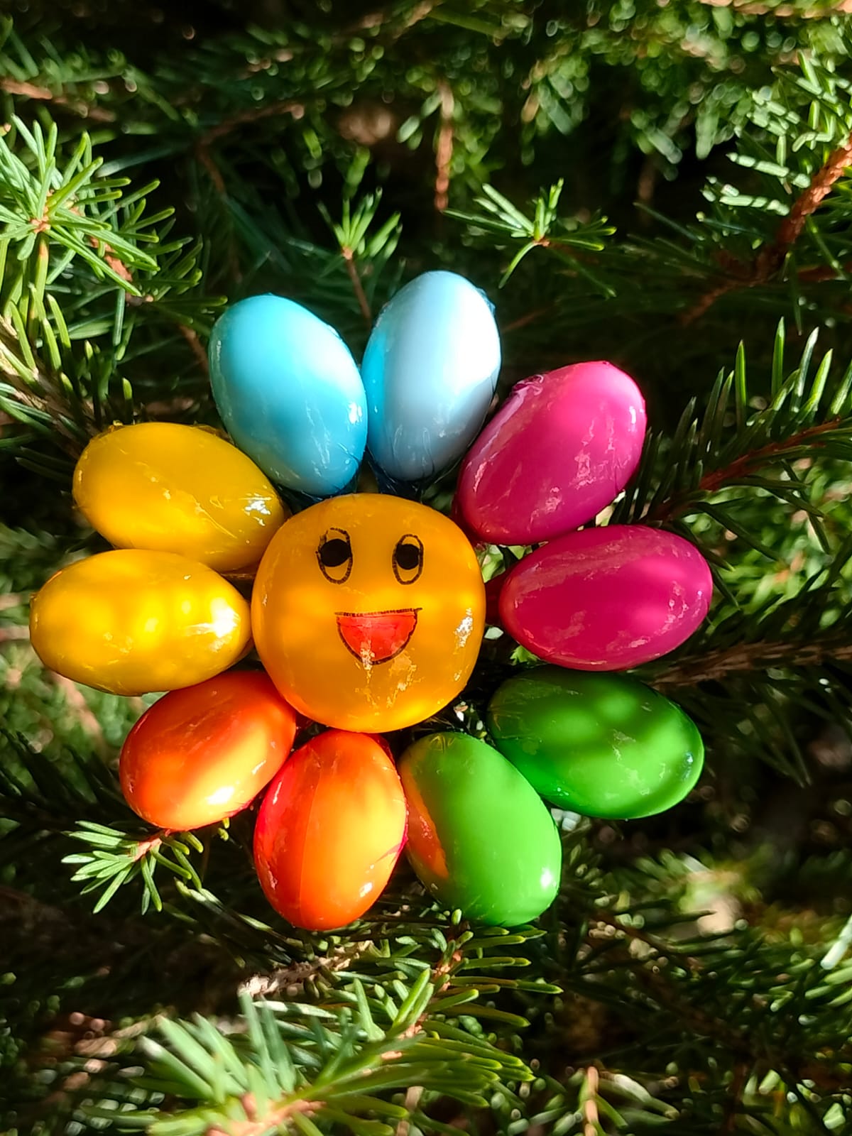 Fleur Smiley multicolore dragées chocolat 6
