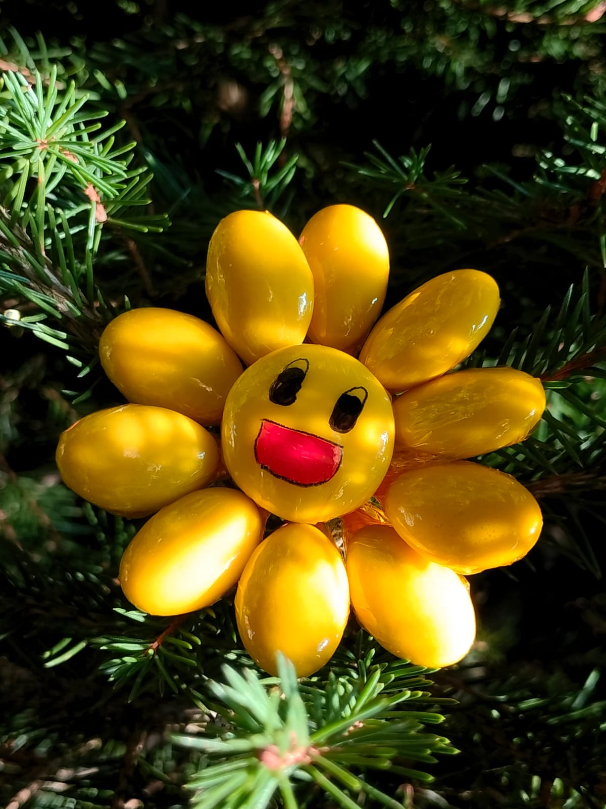 Fleur Smiley jaune dragées chocolat 7