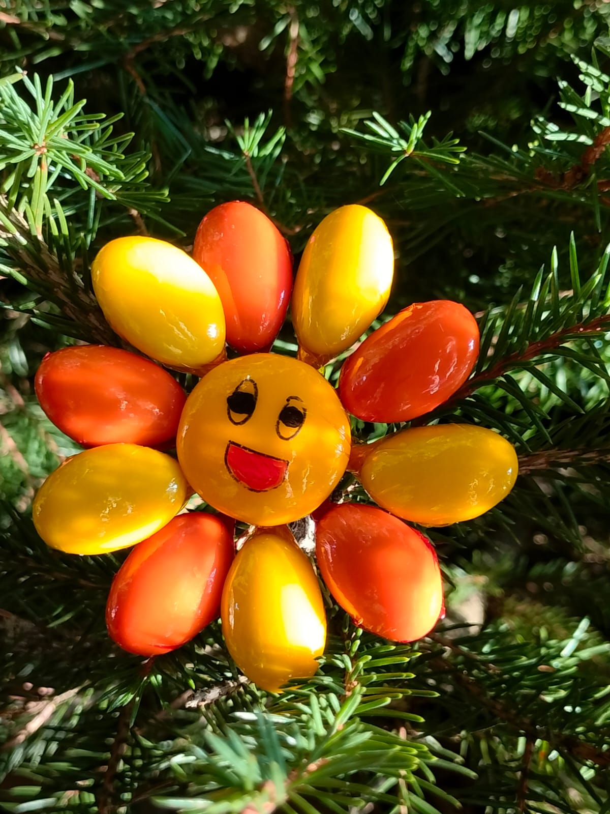 Fleur Smiley jaune orange dragées chocolat 6