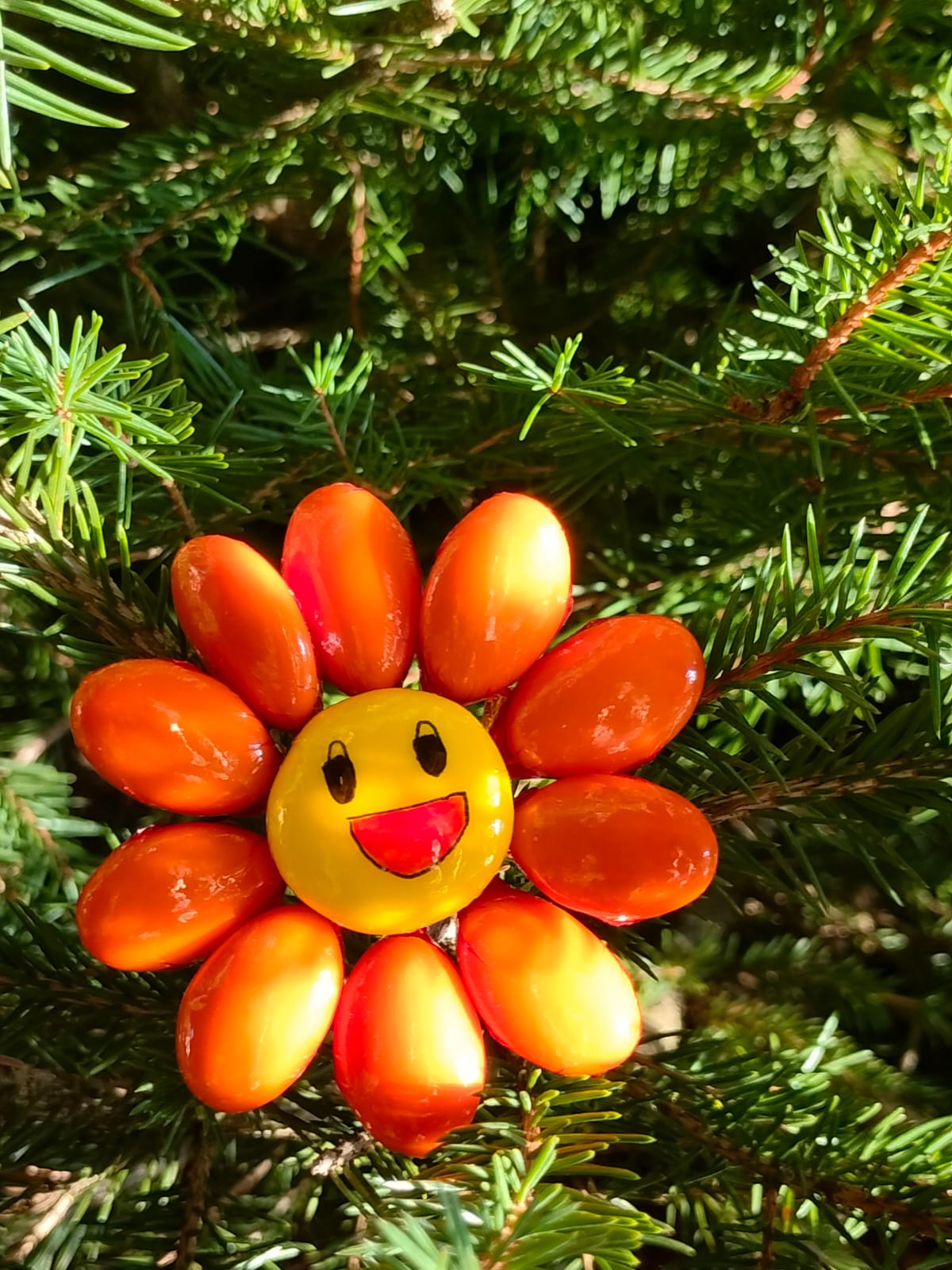 Fleur Smiley orange dragées chocolat 7