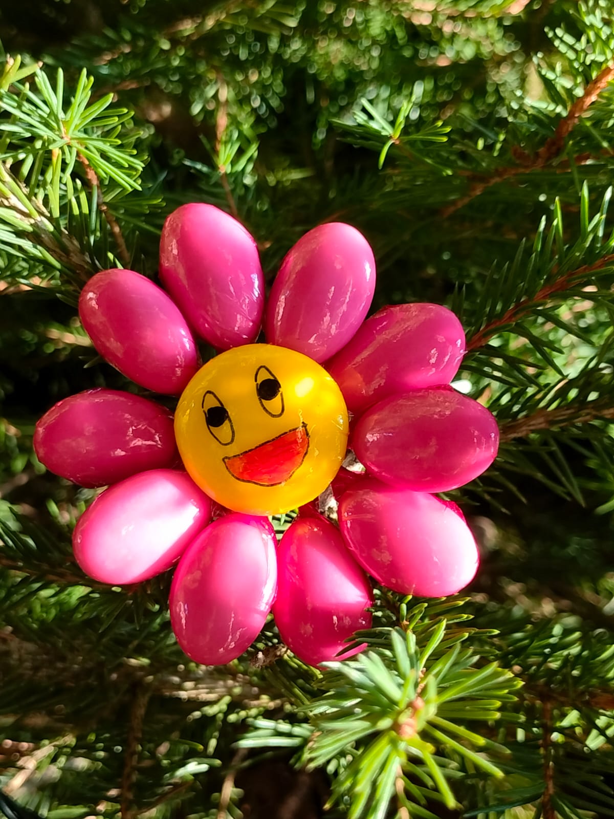 Fleur Smiley rose dragées chocolat 7