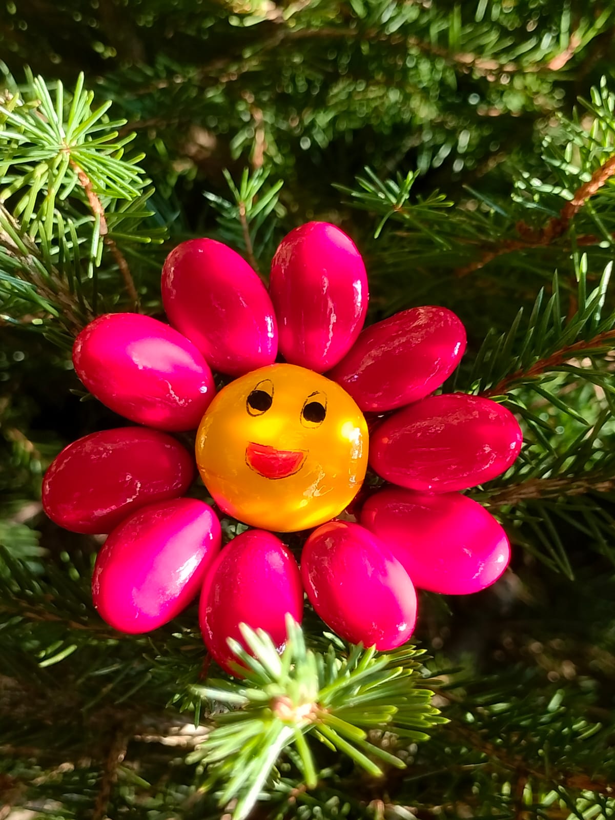 Fleur Smiley rouge dragées chocolat 7