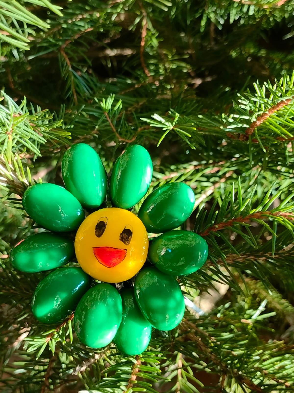 Fleur Smiley vert dragées chocolat 7
