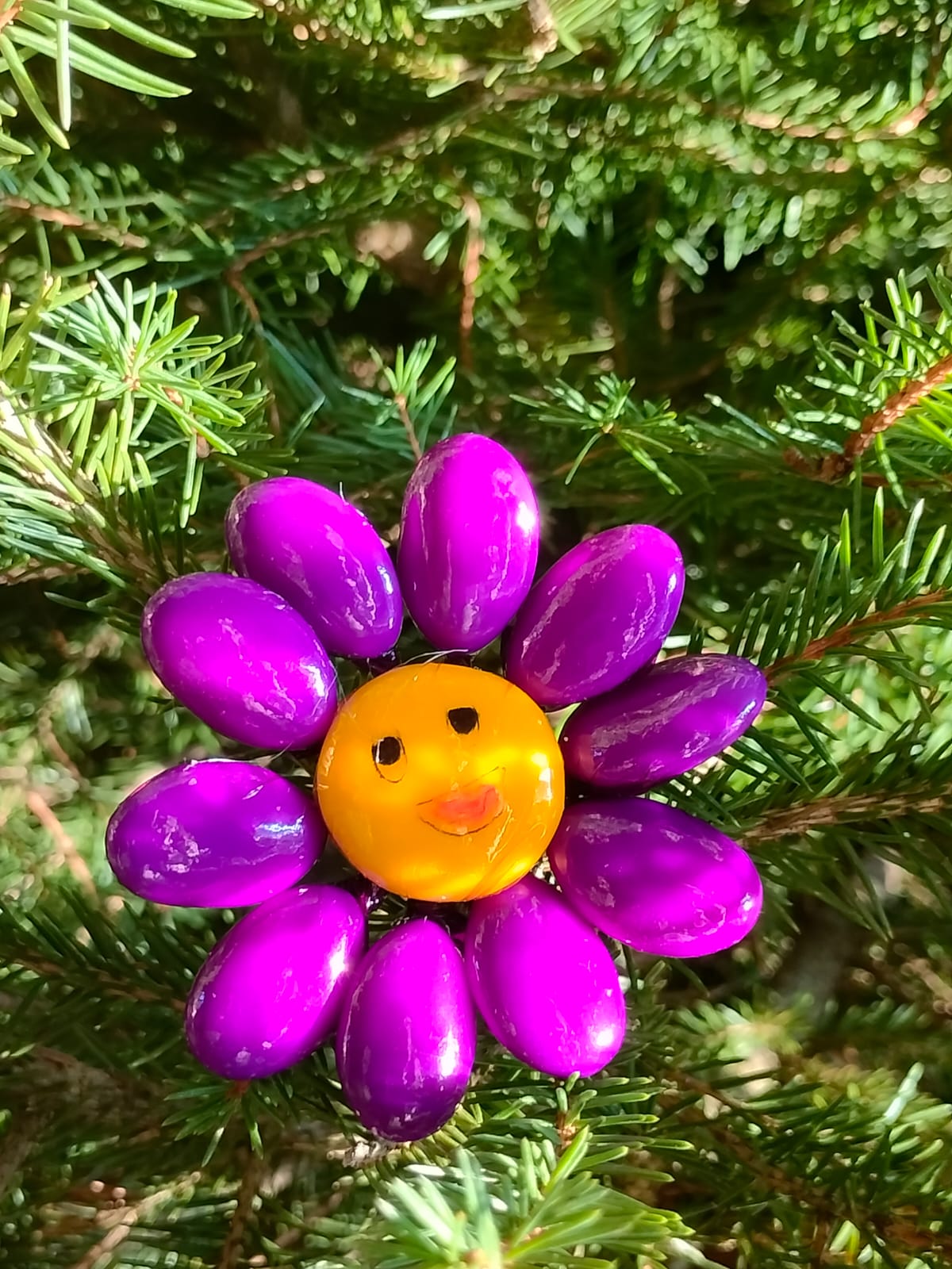 Fleur Smiley violet dragées chocolat 7