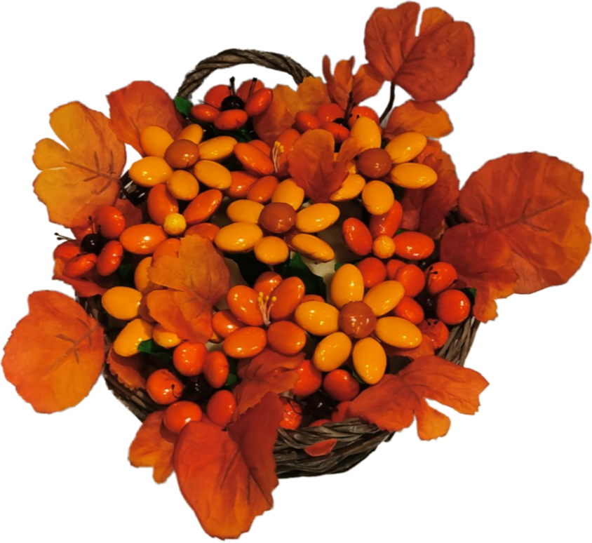 Corbeille fleurs de dragées chocolat automne