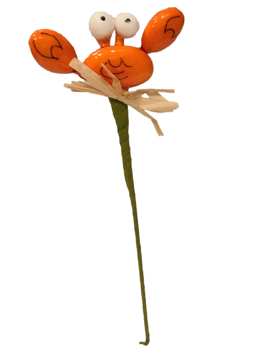 Crabe dragées chocolat