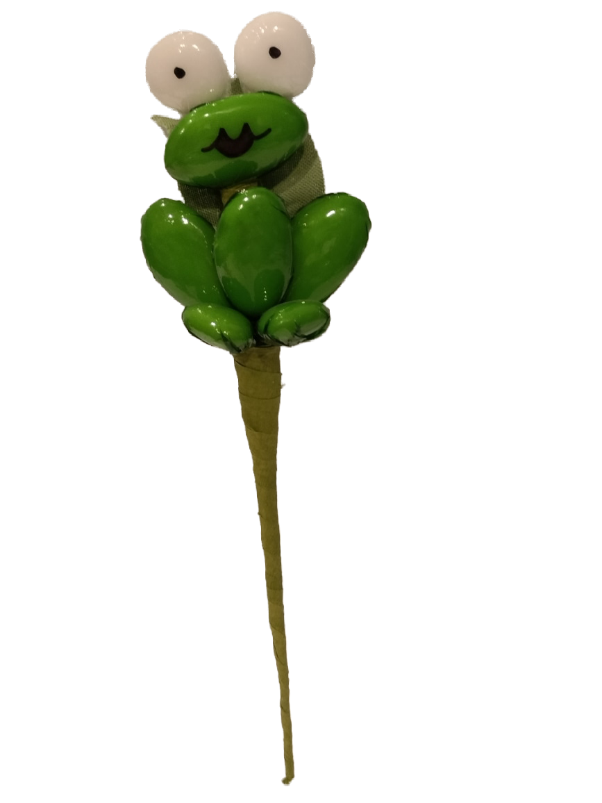 Grenouille dragées chocolat