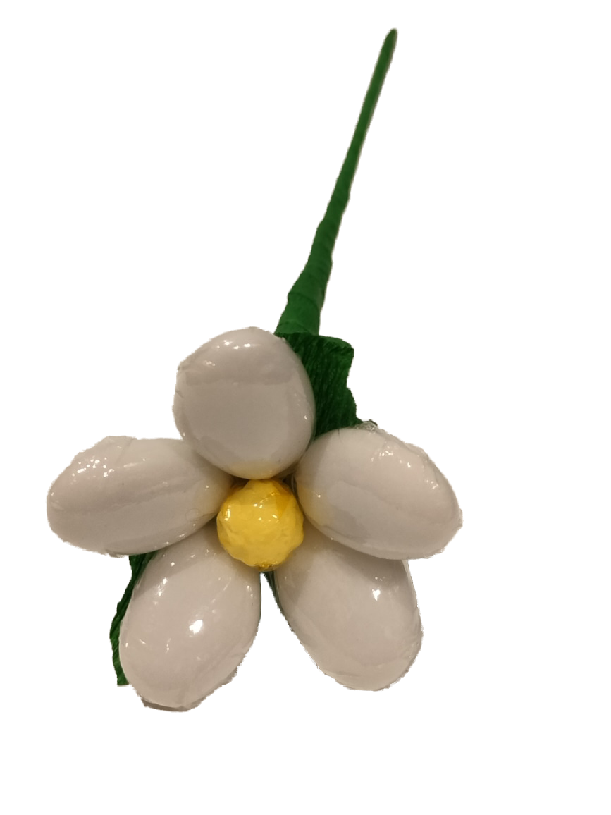 Marguerite dragées chocolat 1