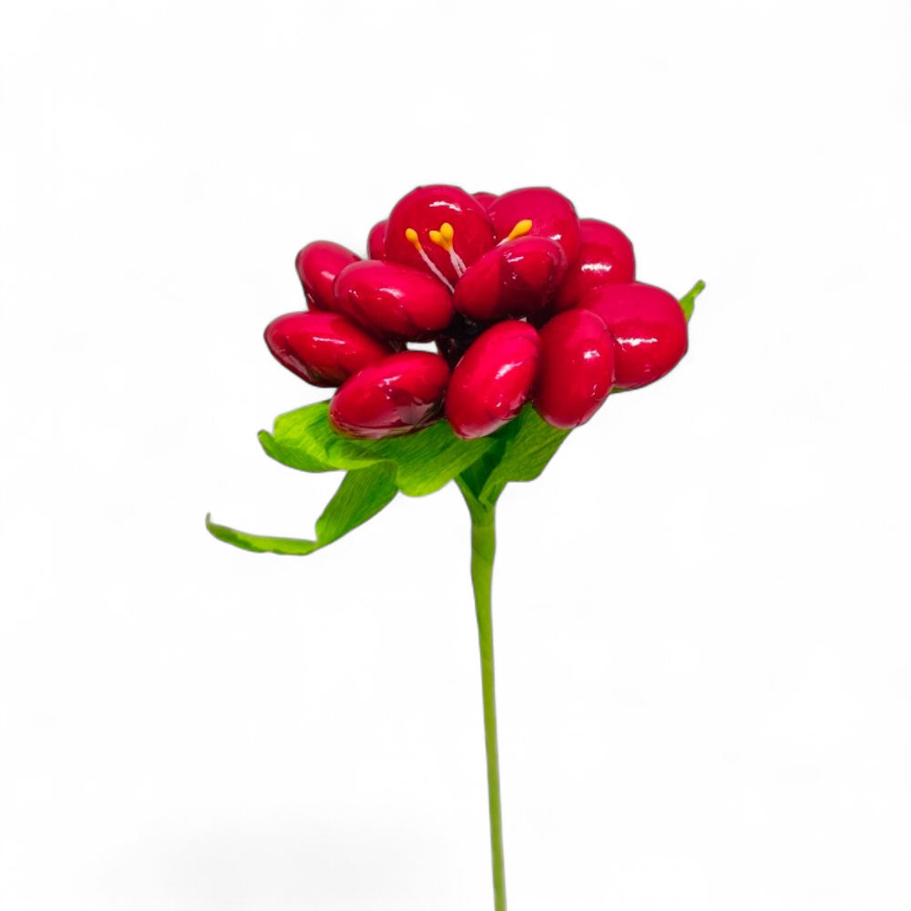 pivoine-dragees-chocolat